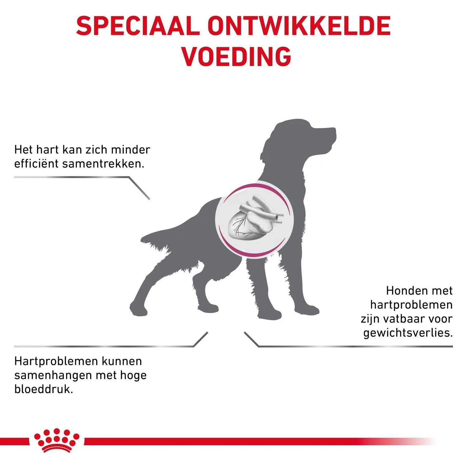 Royal Canin Cardiac - Afbeelding 4