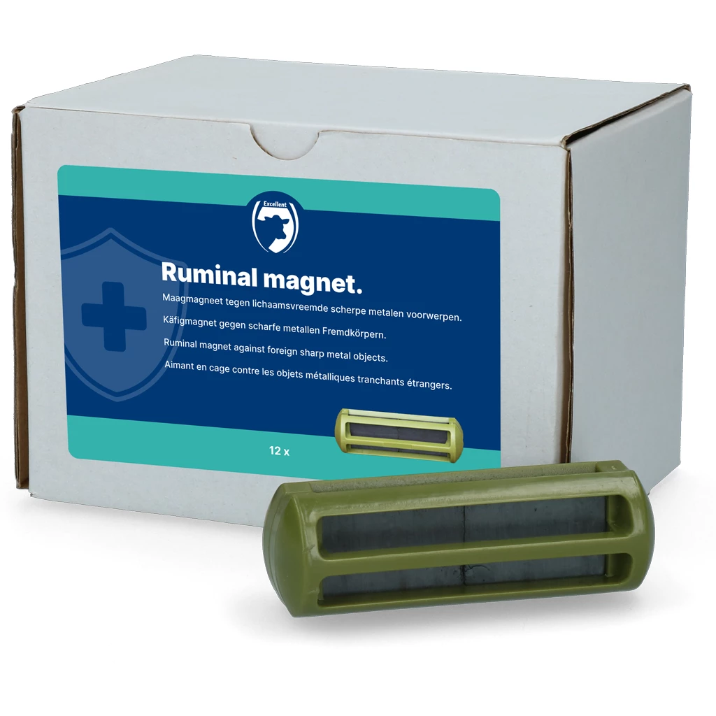 Magneet rund 1 Magneet