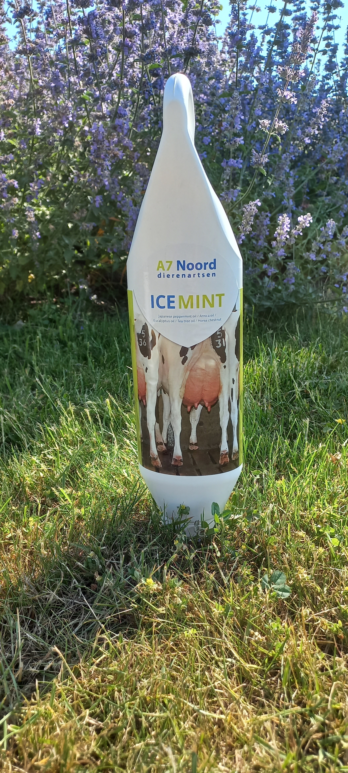 Ice Mint uier crème A7 Noord dierenartsen