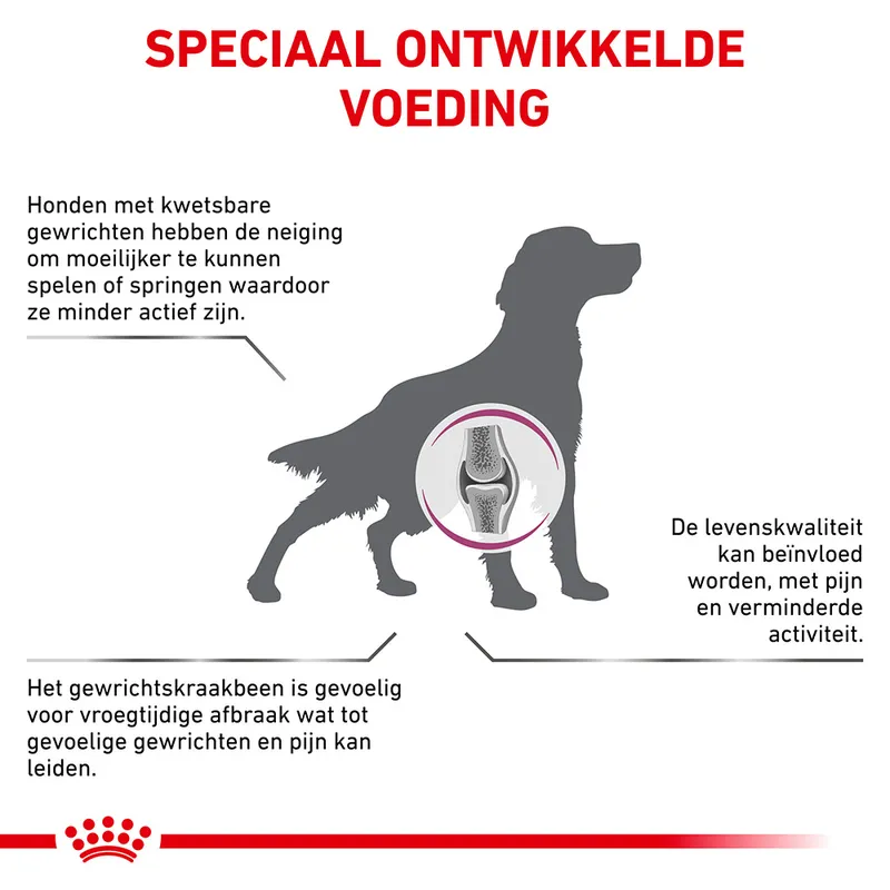 Royal Canin Metabolic Support Speciaal Ontwikkelde Voeding