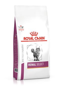 CKD, Royal Canin Renal, kat, nierziekte, nierproblemen