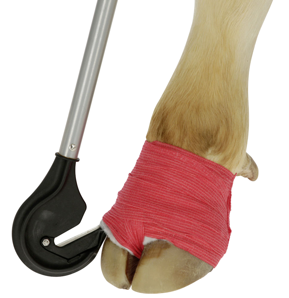 Klauw bandage snijder