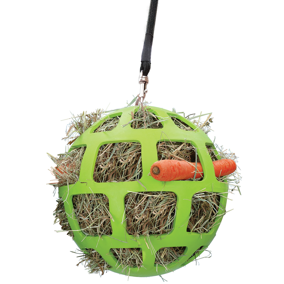 slowfeeder, verveling, paard, pony, schrokken, koudbloed, hooi