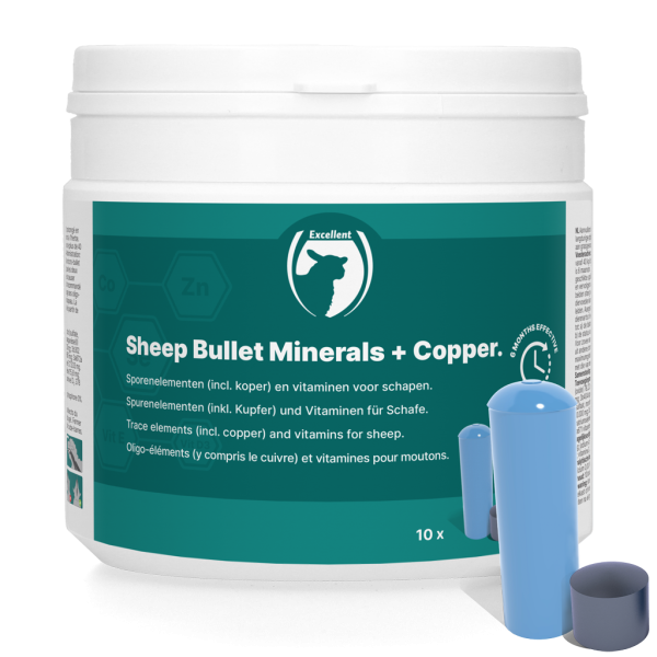 Sheep bullet minerals + copper