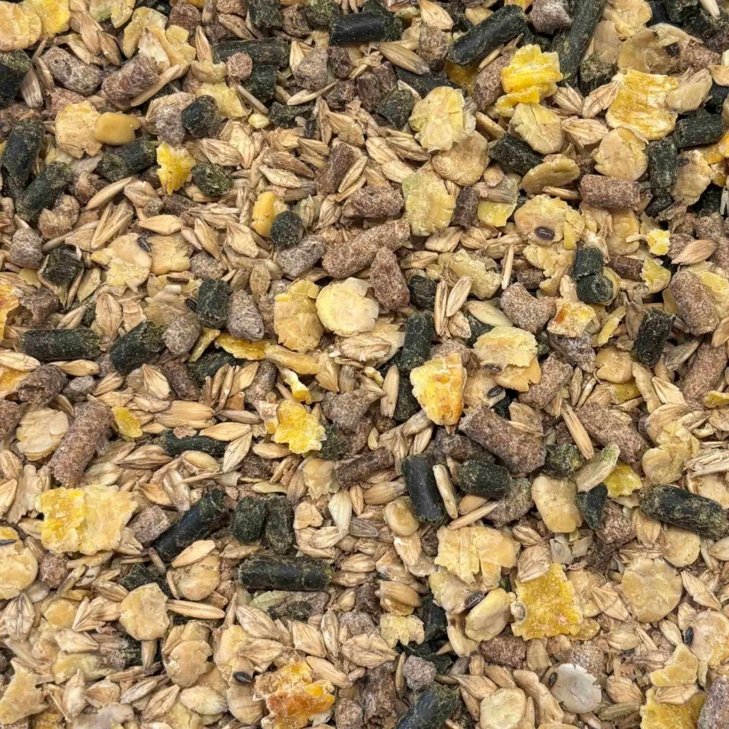 HP Mare & Foal Brokjes