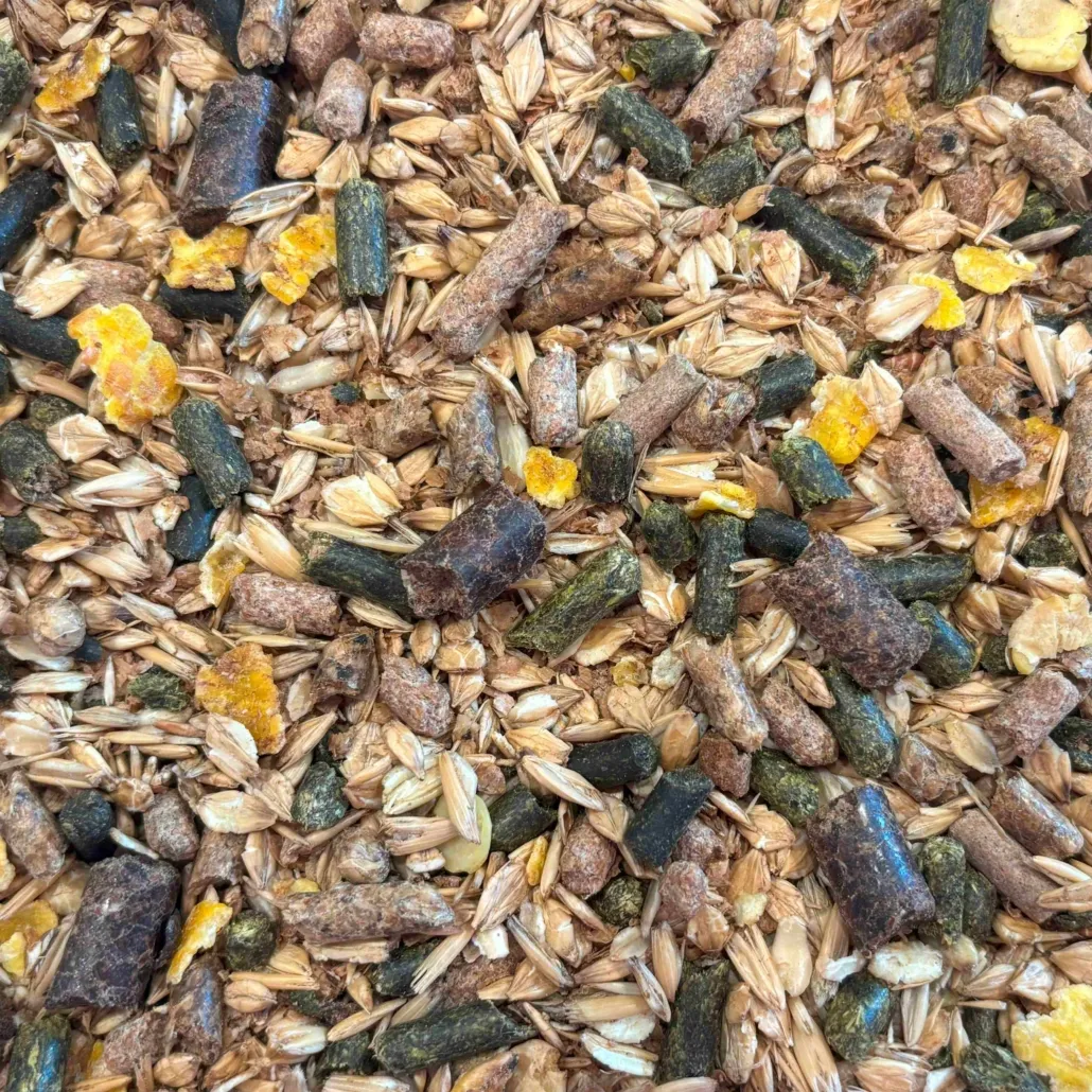 HP Motility 20 kg - Afbeelding 4