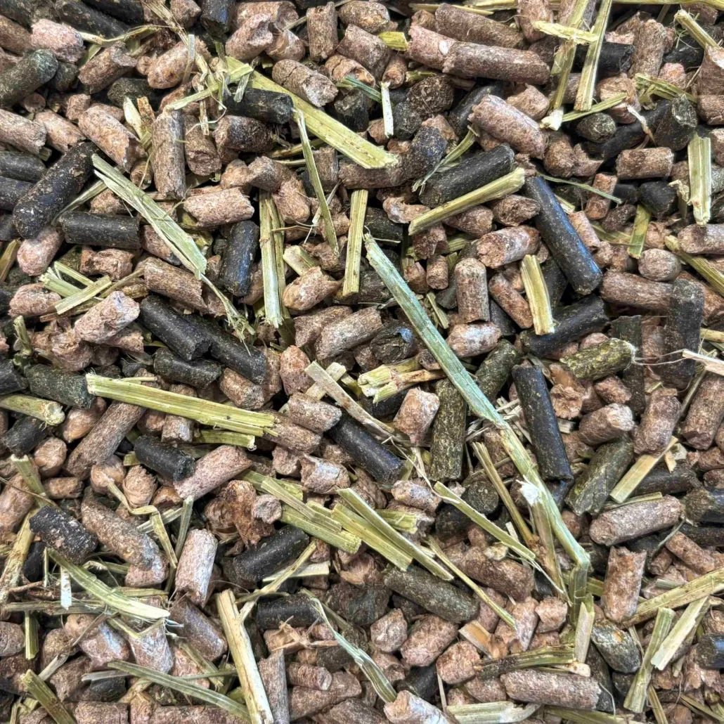 HP Non-Obesitas Brokjes