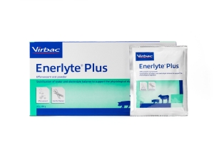 Enerlyte Plus