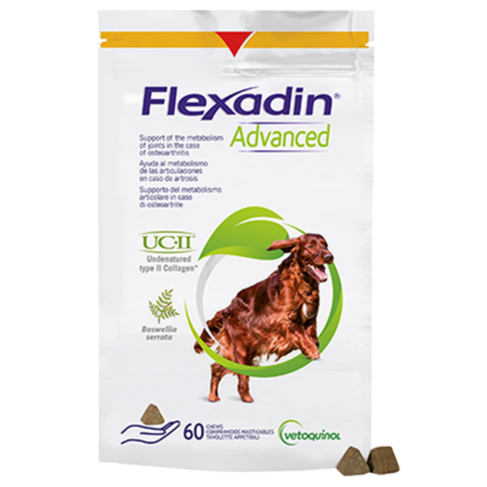 Flexadin Advanced hond