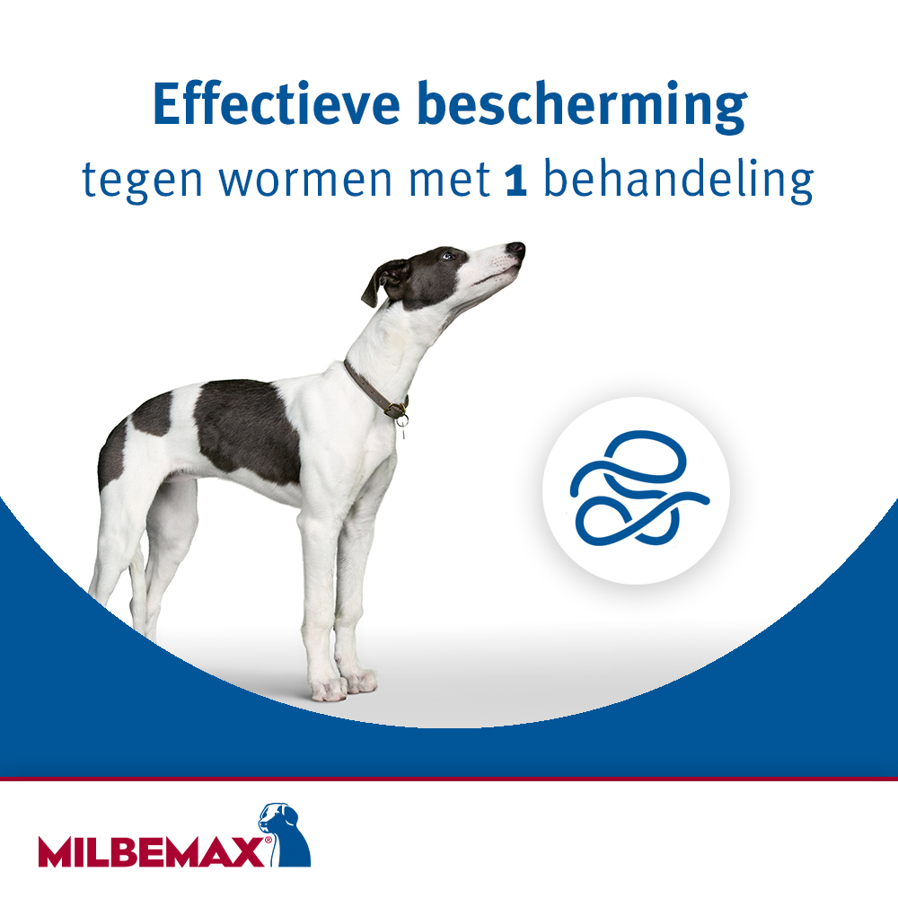 Milbemax kauwtabletten hond 4 tabletten 8 eenvoudige ontworming hond milbemax