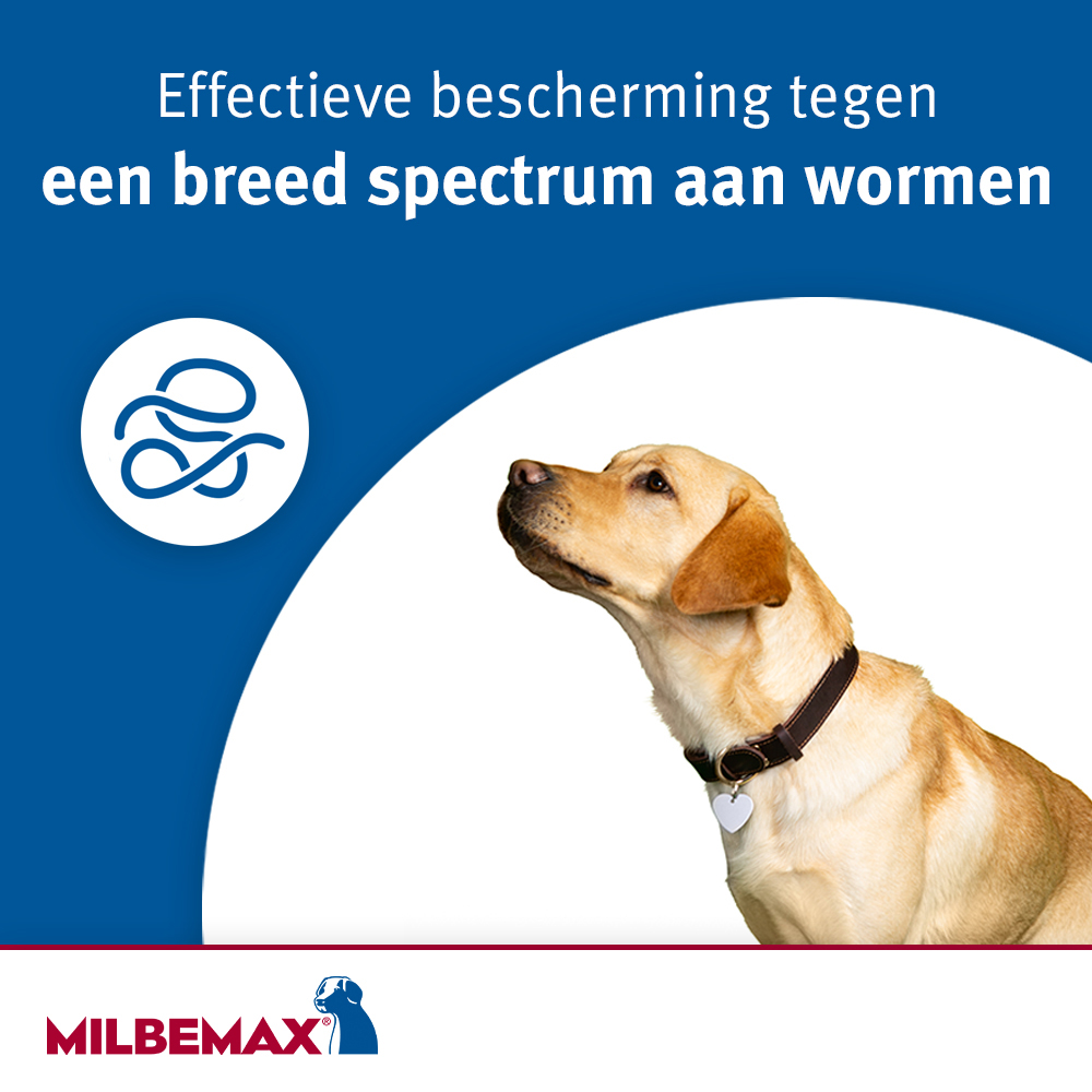 Milbemax kauwtabletten hond 4 tabletten 7 ontworming tegen veel soorten wormen hond milbemax