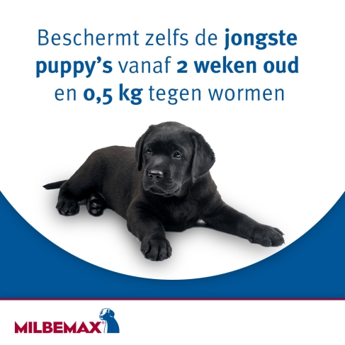 ontworming voor puppy's milbemax