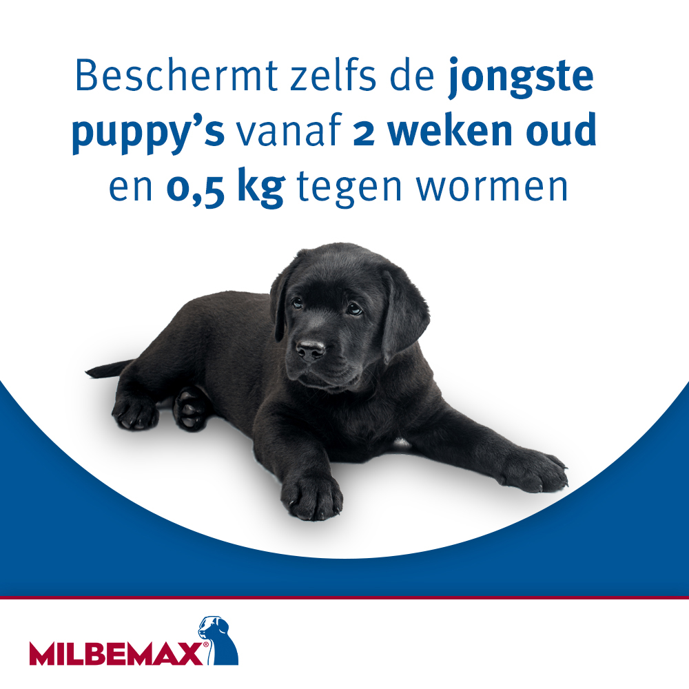 Milbemax kauwtabletten hond 4 tabletten 5 ontworming voor puppy's milbemax