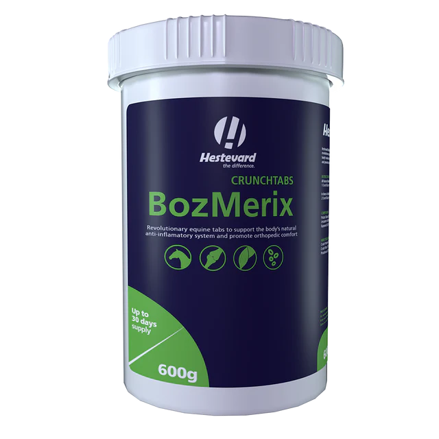 Hestevard BozMerix 2 Hestevard BozMerix - Afbeelding 2