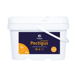 Hestevard Pectigus Advanced spijsvertering supplement