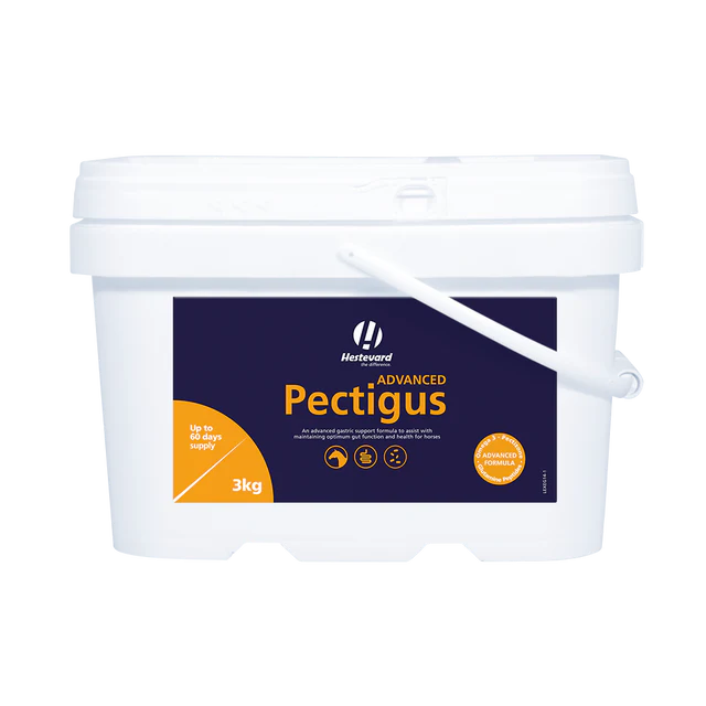 Hestevard Advanced Pectigus 1 Hestevard Pectigus Advanced spijsvertering supplement