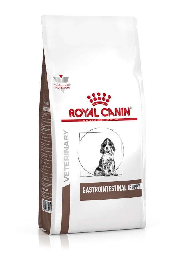 Royal Canin Gastro Intestinal Puppy 1 Puppy, diarree, braken, Royal Canin, voeding,