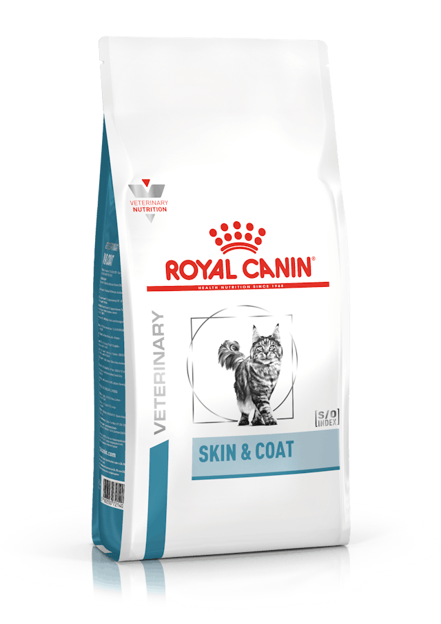 Royal Canin Skin & Coat kat 1 RC skin & Coat, huid en haar kat, voeding, Royal Canin