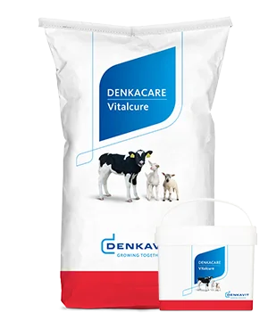 Denkacare Vitalcure 5kg