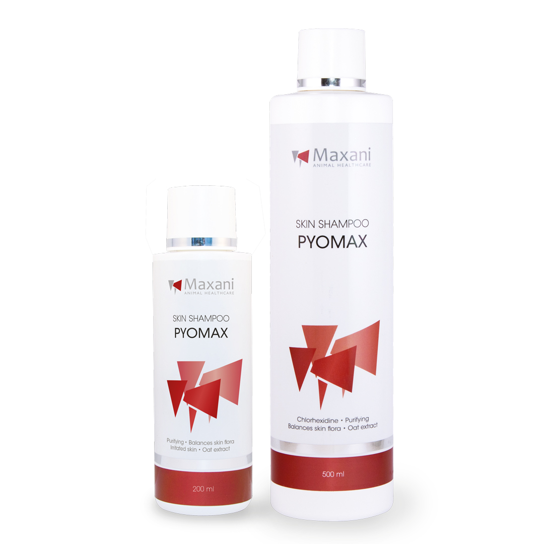Maxani PyoMax 1 Maxani PyoMax Shampoo