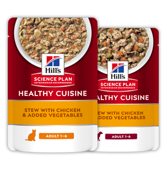 Hill's Sciene Plan Healthy Cuisine