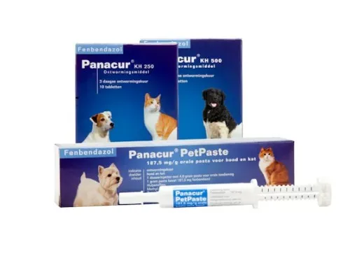 Panacur KH Hond/Kat 1 Panacur