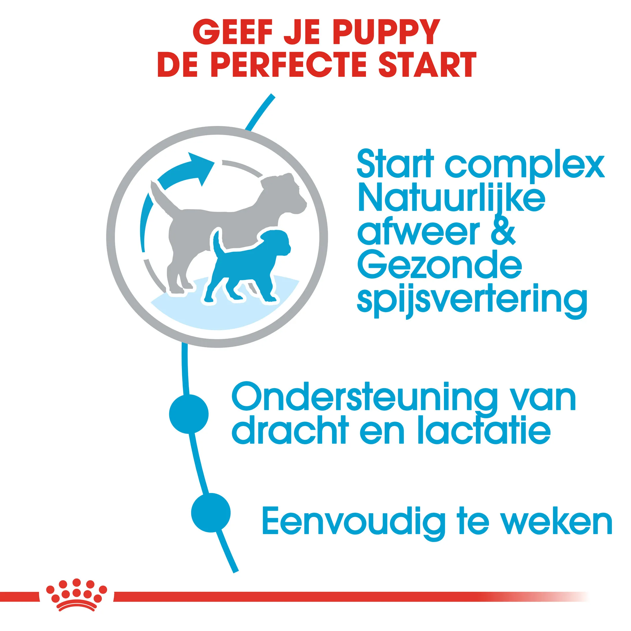 Royal Canin Mini Starter Mother & Babydog Ondersteuning