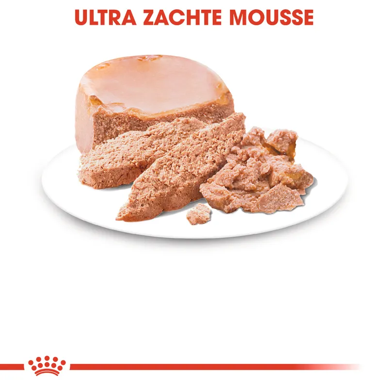 Royal Canin Starter Mousse 195 gram Mousse