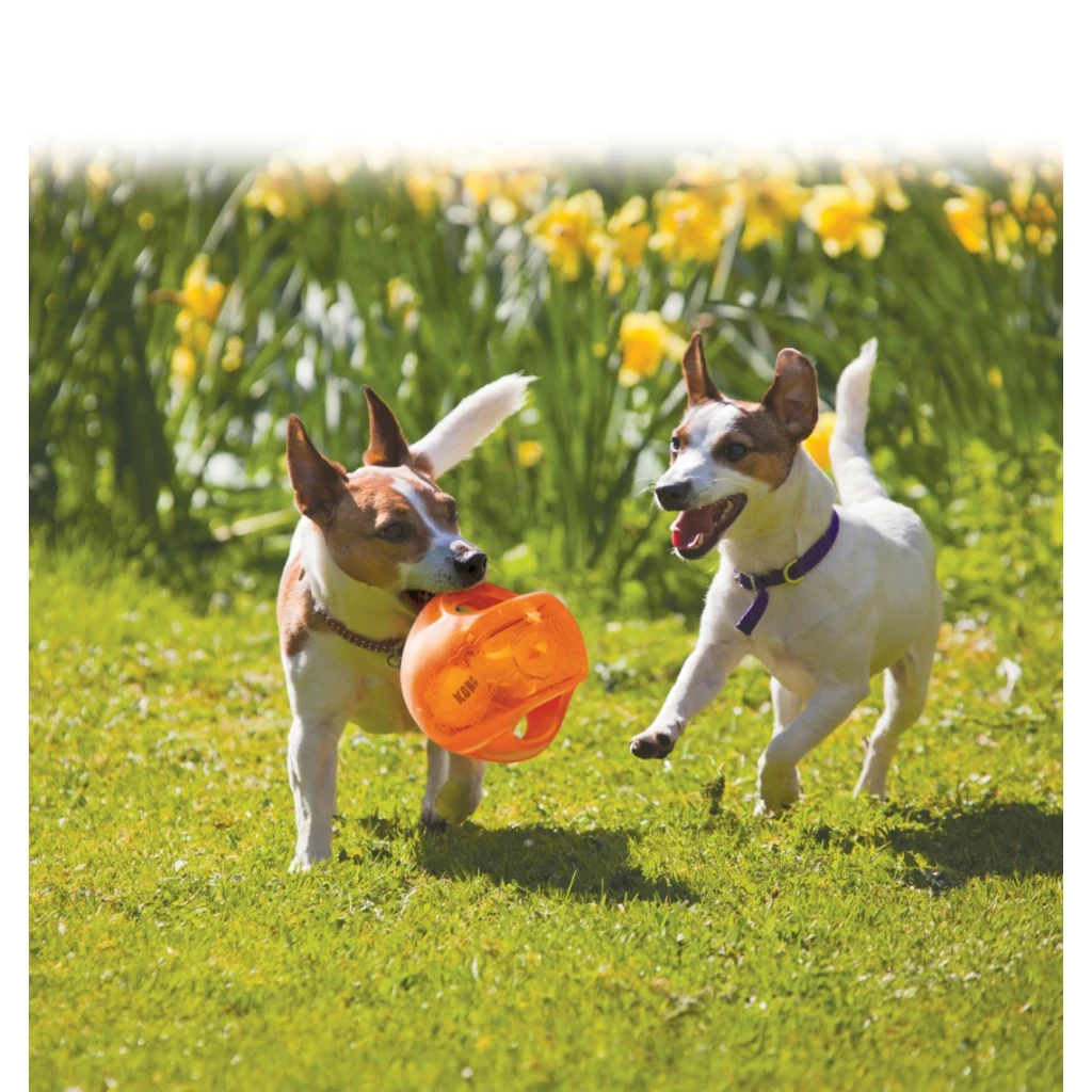 KONG Jumbler Ball 2 Kong Jumbler Ball Oranje