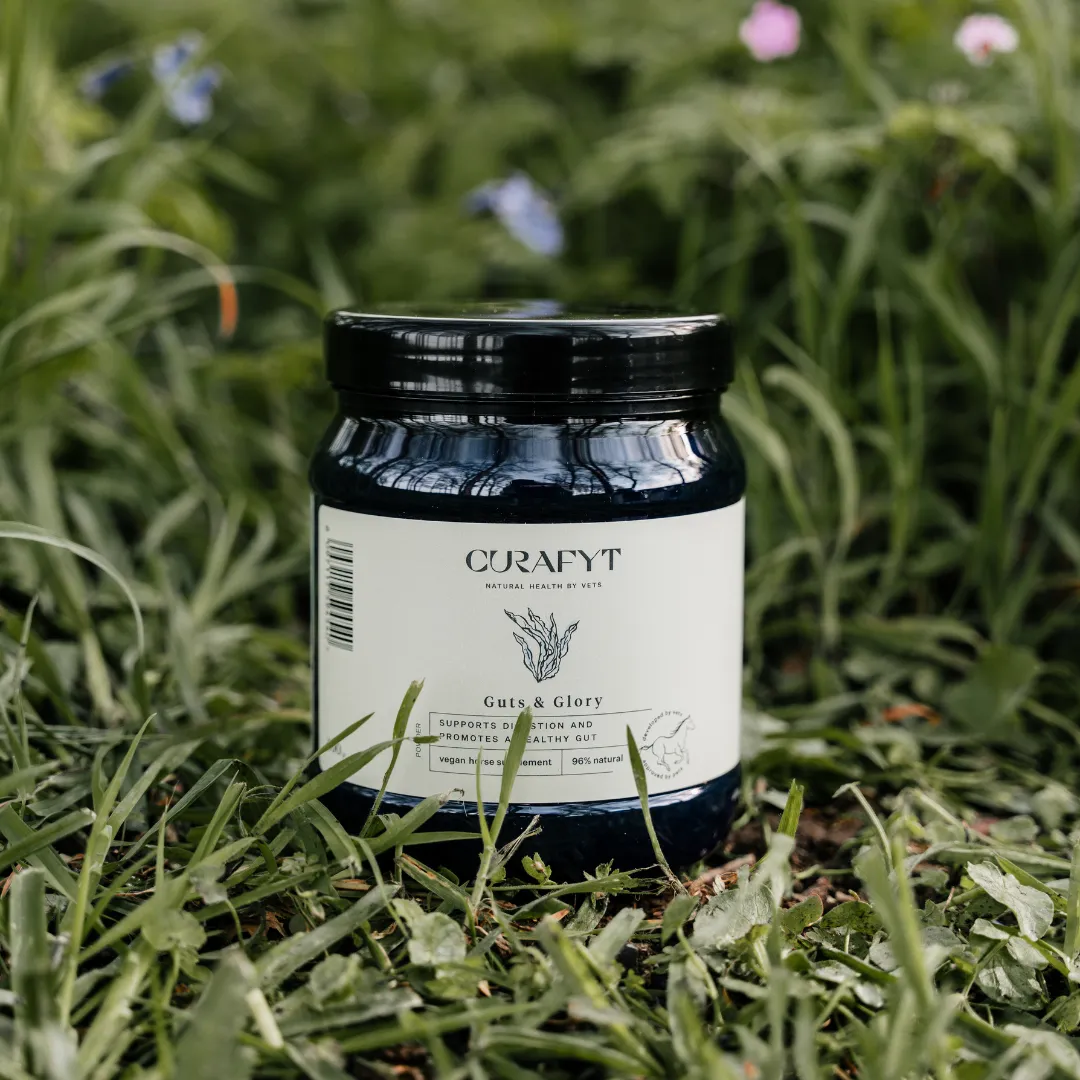 Curafyt Guts & Glory 500 gram
