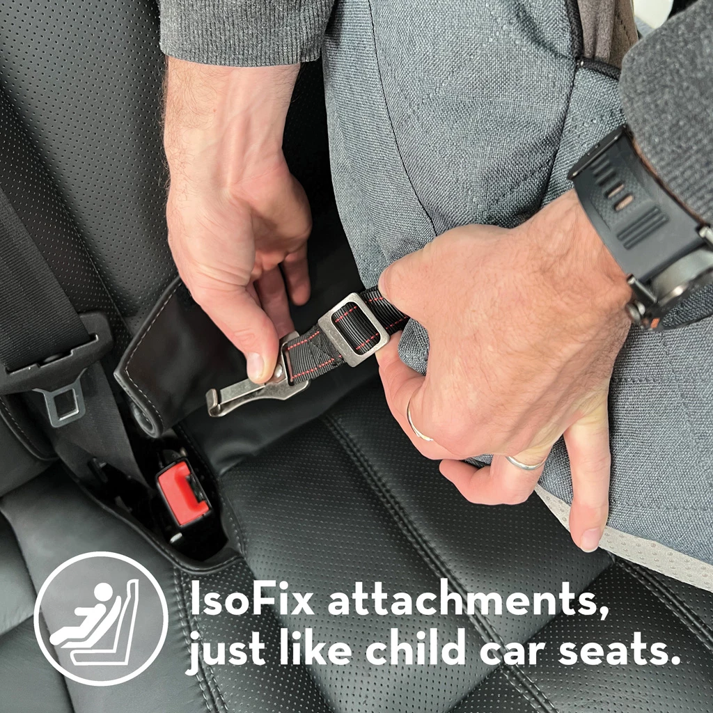 Kong Travel Ultimate Safety Seat 5 Kong Travel Ultimate Safety Seat Clik
