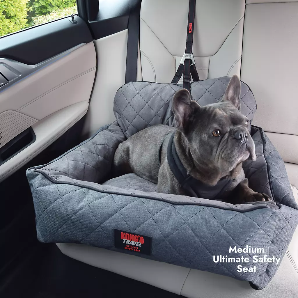 Kong Ultimate Safety Seat & Tether Maat M 3 ong Ultimate Safety Seat & Tether Maat M