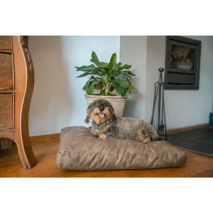Lets Sleep Plush Pillow Cognac hond