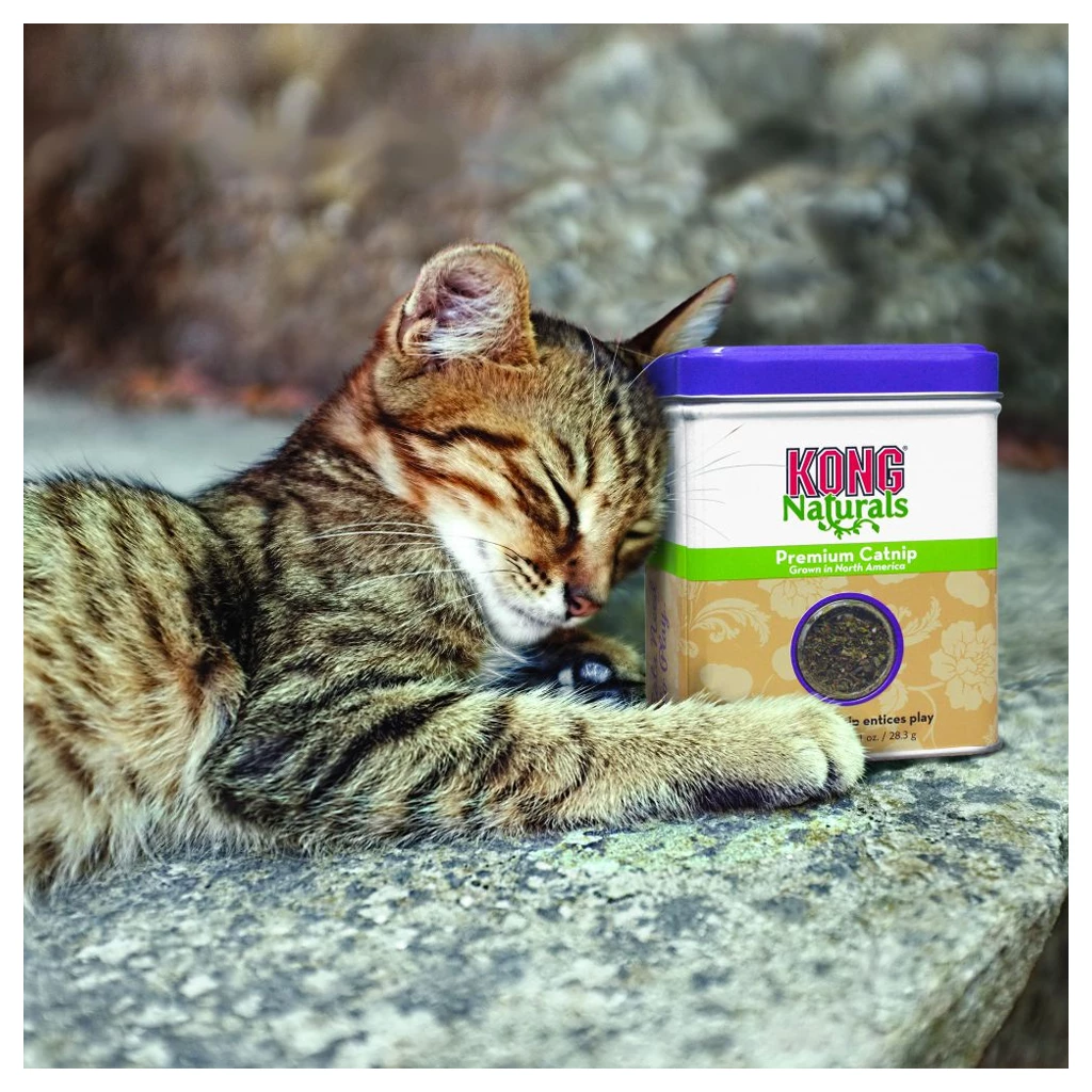 Kong Naturals Catnip 2 Kong Naturals Premium Catnip 28.3 gram